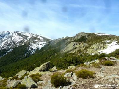 Guadarrama;Pico de la Najarra-cabra fotos mochilas montaña clubs madrid